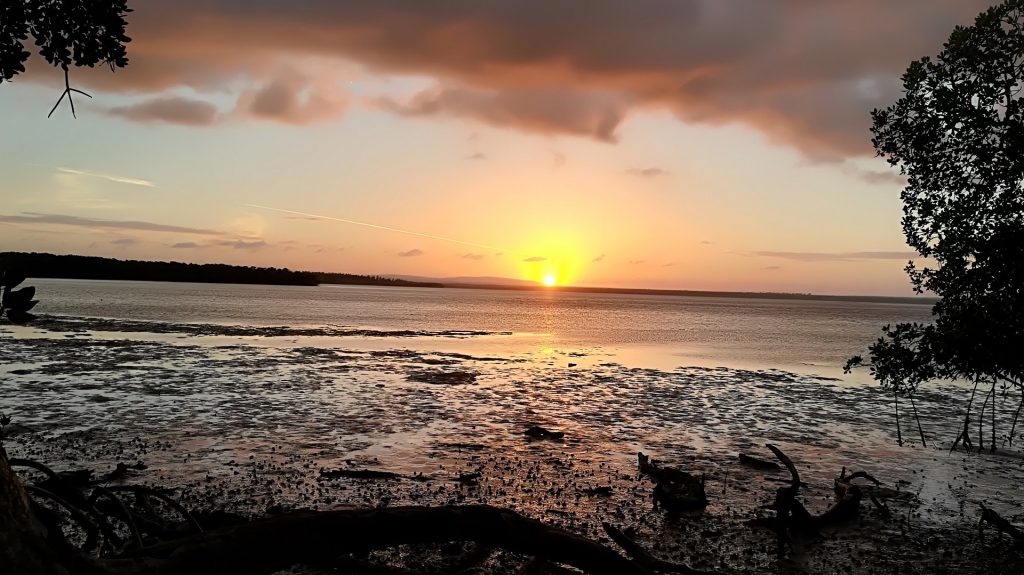 info-kenya-tours-crab-shack Foto Galleria In Kenya Con Maestro Geppeto