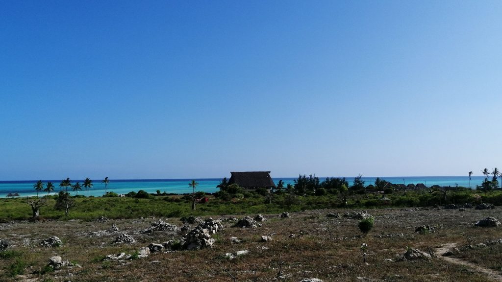 In Kenya Con Maestro geppetto Foto Galleria In Kenya Con Maestro Geppeto Mezza Giornata - Spiaggia di Jacaranda